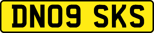 DN09SKS