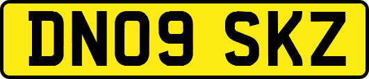 DN09SKZ