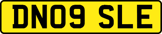 DN09SLE