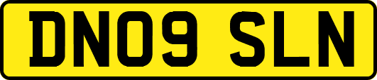 DN09SLN