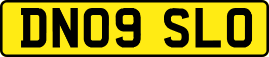DN09SLO