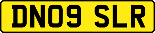 DN09SLR