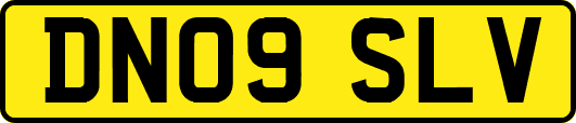 DN09SLV