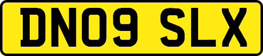 DN09SLX