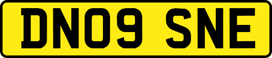 DN09SNE