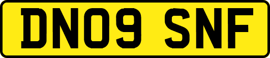 DN09SNF