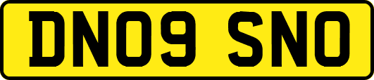 DN09SNO