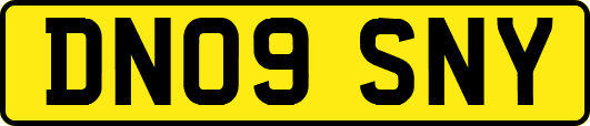 DN09SNY