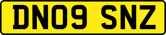 DN09SNZ