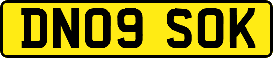 DN09SOK
