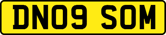 DN09SOM