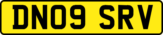 DN09SRV