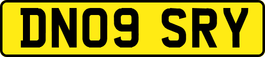 DN09SRY