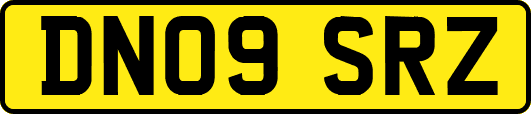 DN09SRZ
