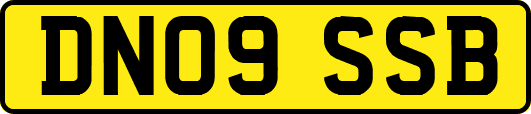 DN09SSB