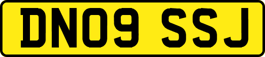 DN09SSJ