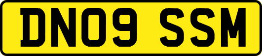 DN09SSM
