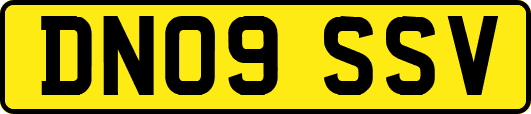 DN09SSV