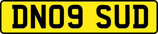 DN09SUD