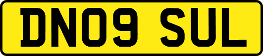 DN09SUL
