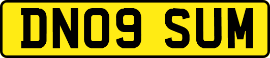 DN09SUM