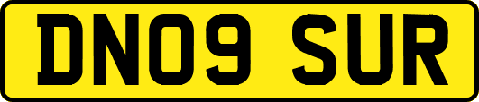 DN09SUR