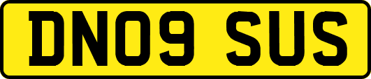 DN09SUS