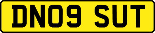 DN09SUT