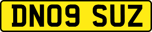 DN09SUZ