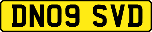 DN09SVD