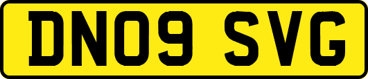 DN09SVG