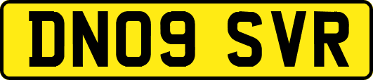 DN09SVR