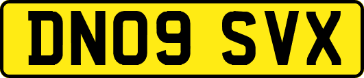 DN09SVX