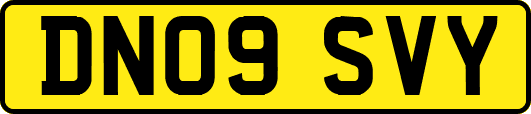 DN09SVY