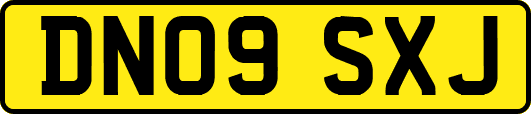 DN09SXJ