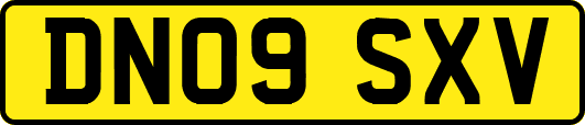 DN09SXV