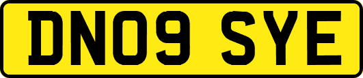 DN09SYE