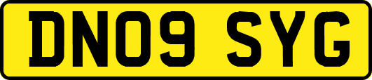 DN09SYG