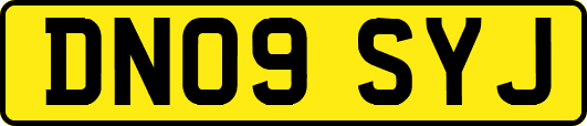 DN09SYJ