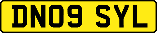 DN09SYL