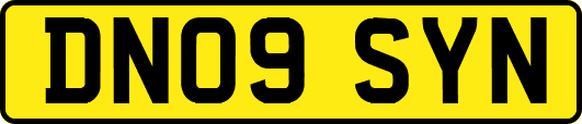 DN09SYN