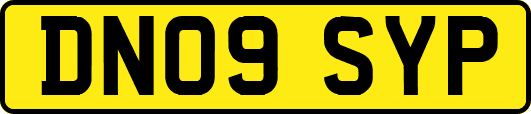 DN09SYP