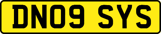 DN09SYS