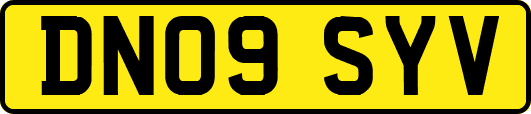 DN09SYV