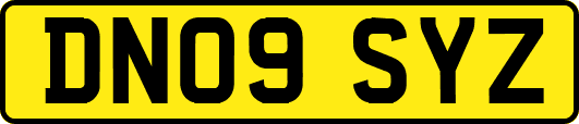 DN09SYZ