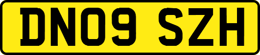 DN09SZH