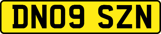 DN09SZN