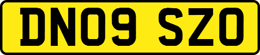 DN09SZO