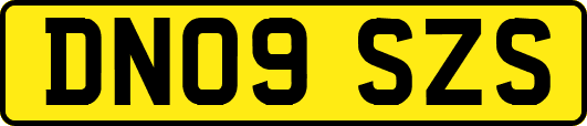 DN09SZS
