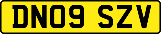 DN09SZV